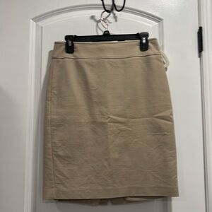 Pencil Skirt